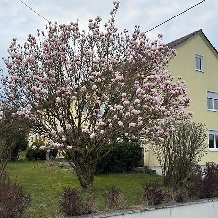 W&P Living Wohnung Mit Ausblick - Parkplatz Biberbach  Exteriör bild